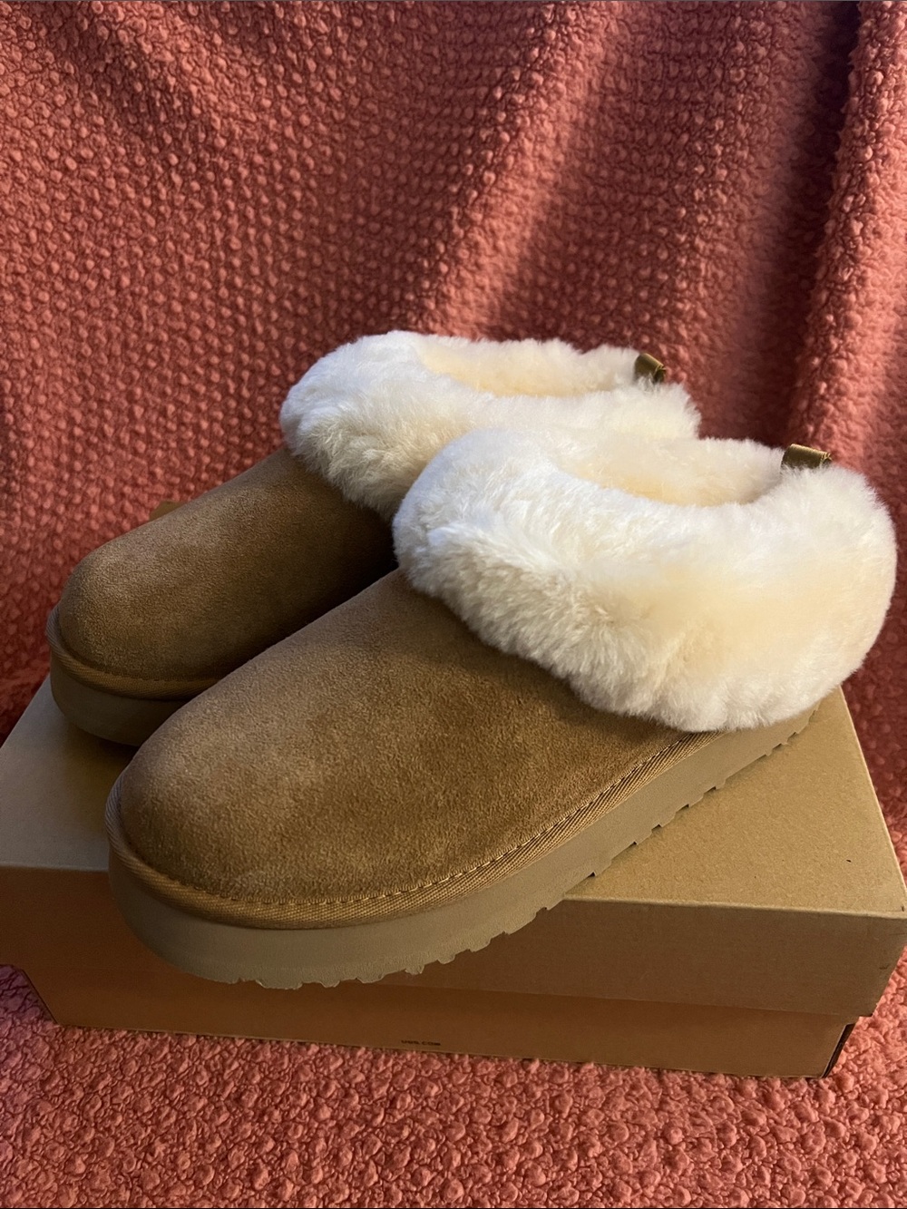 <UGG> Tazzelle in Chestnut